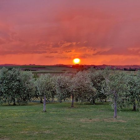 Podere Molinaccio ปานิกาเล ภายนอก รูปภาพ