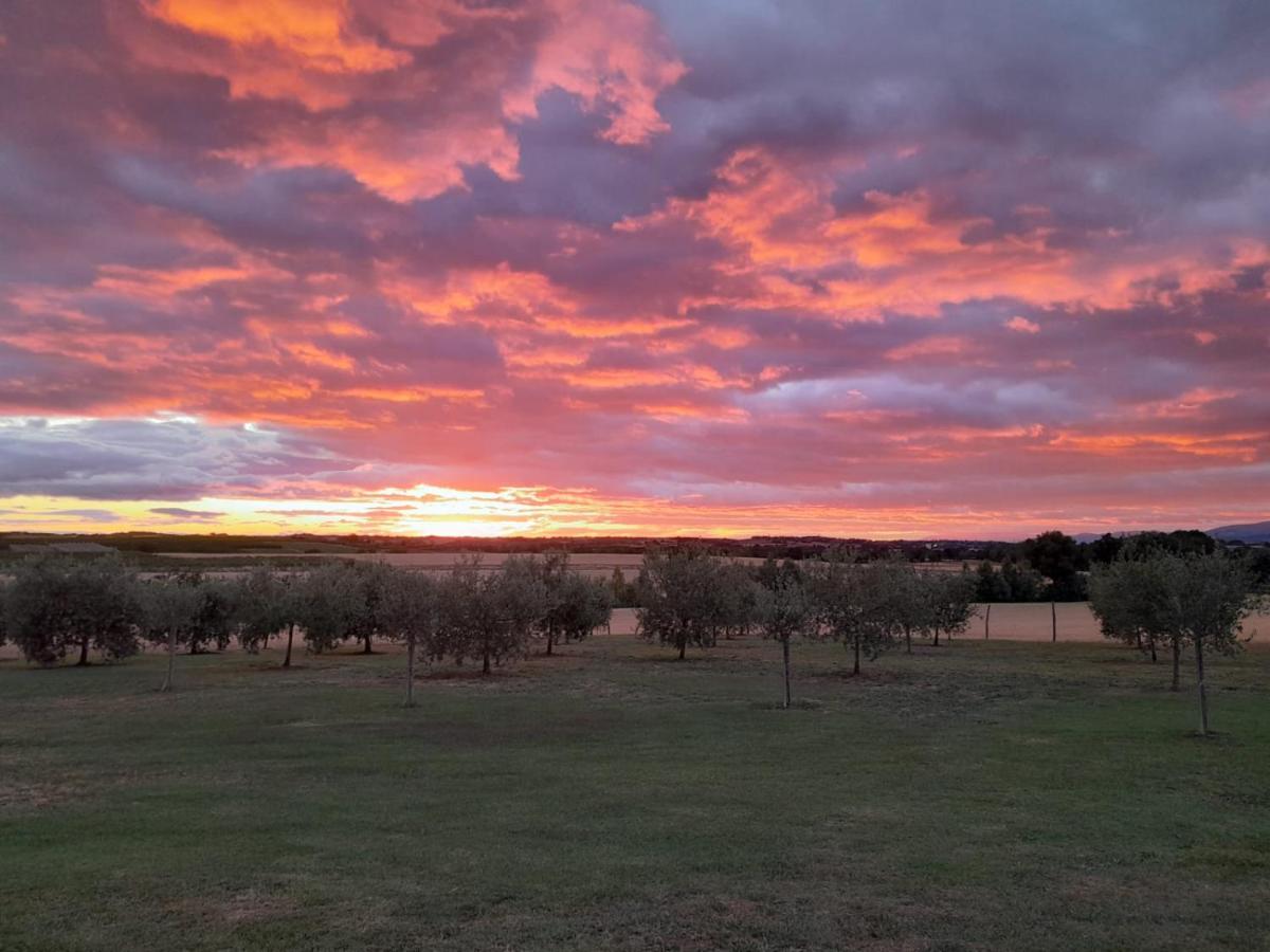 Podere Molinaccio ปานิกาเล ภายนอก รูปภาพ