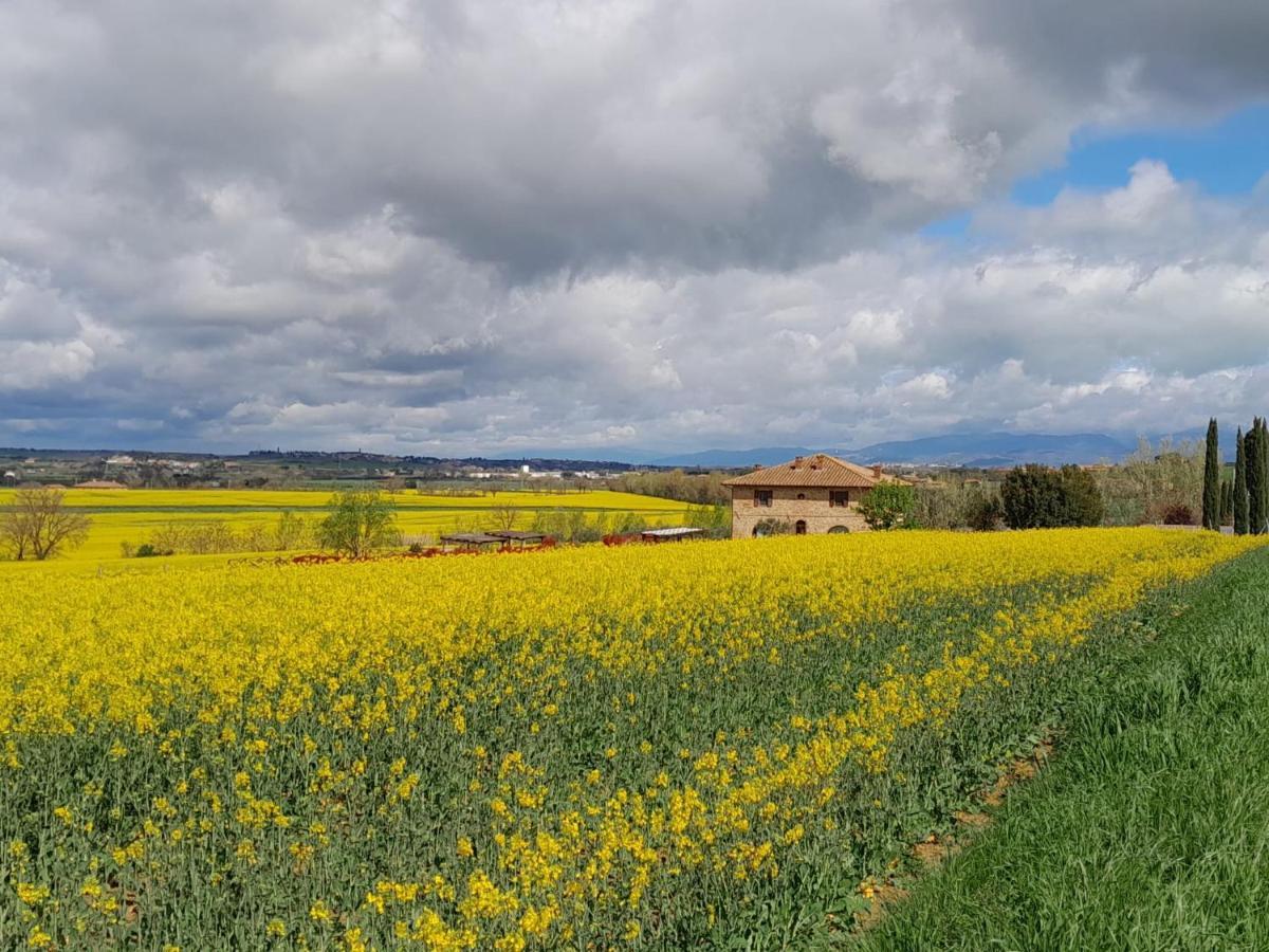 Podere Molinaccio ปานิกาเล ภายนอก รูปภาพ
