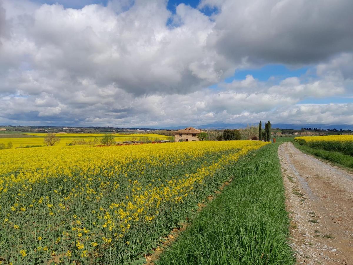 Podere Molinaccio ปานิกาเล ภายนอก รูปภาพ