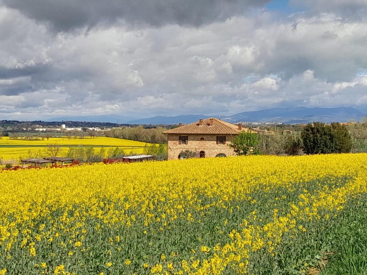 Podere Molinaccio ปานิกาเล ภายนอก รูปภาพ