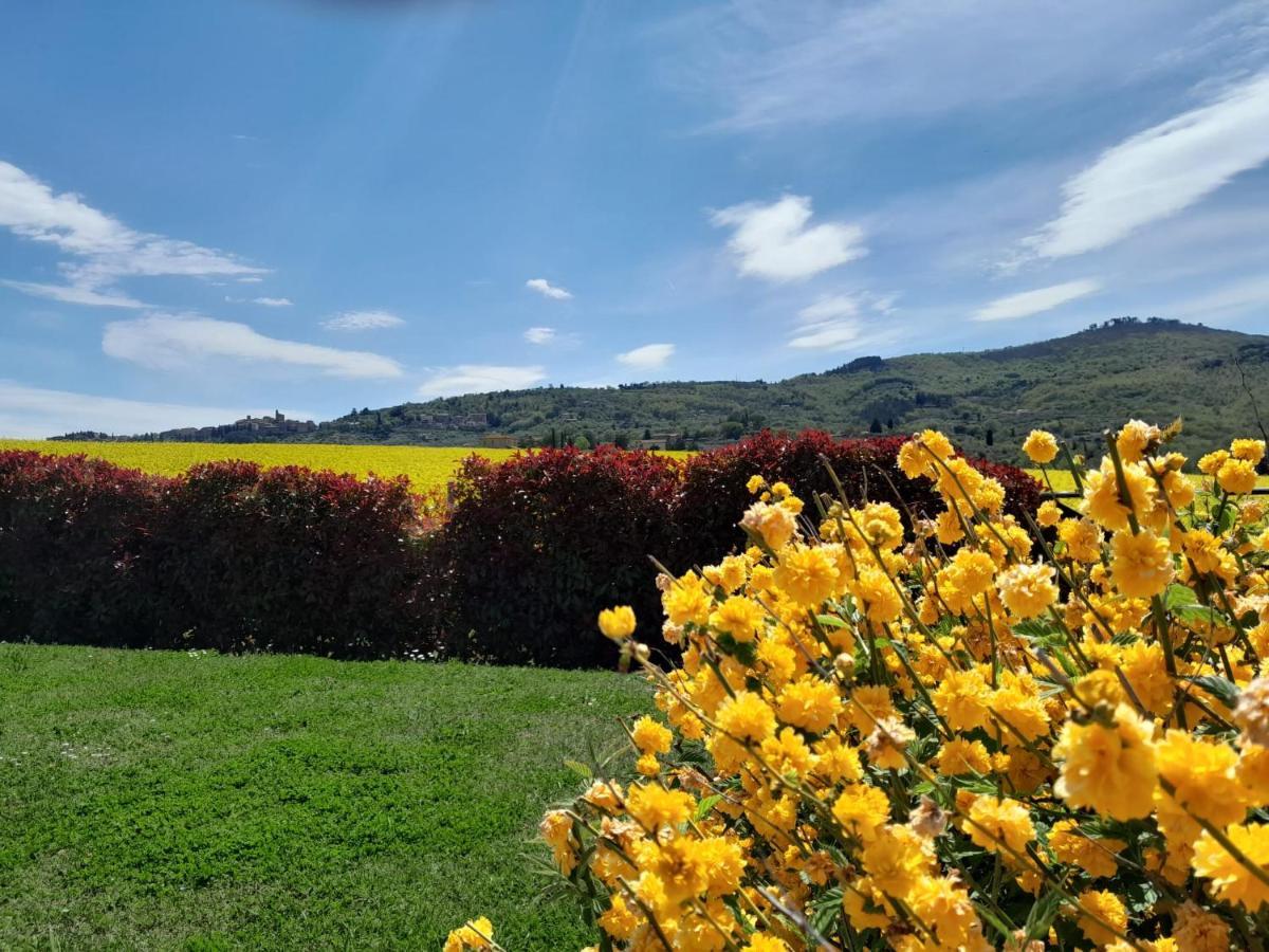 Podere Molinaccio ปานิกาเล ภายนอก รูปภาพ