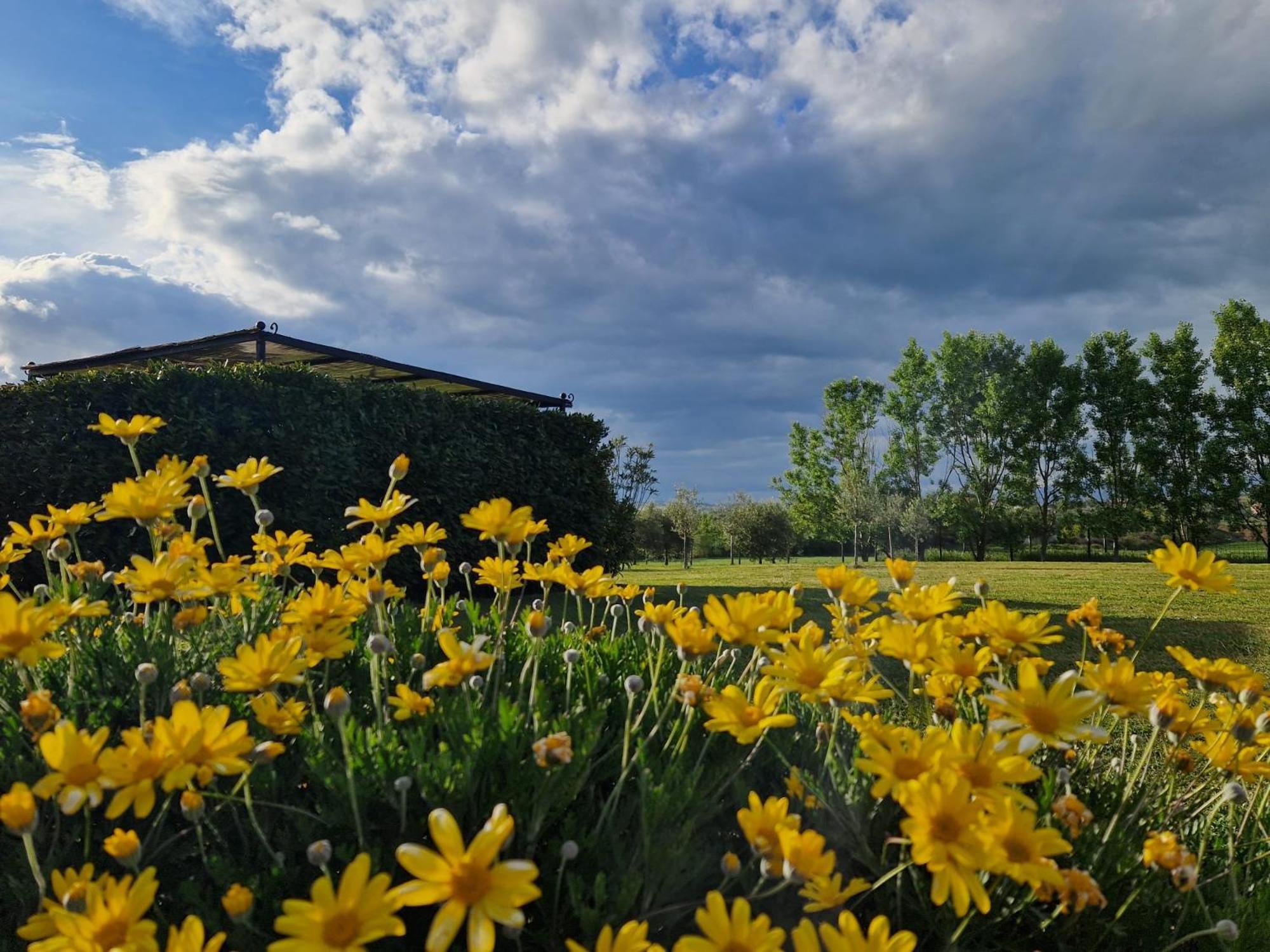 Podere Molinaccio ปานิกาเล ภายนอก รูปภาพ