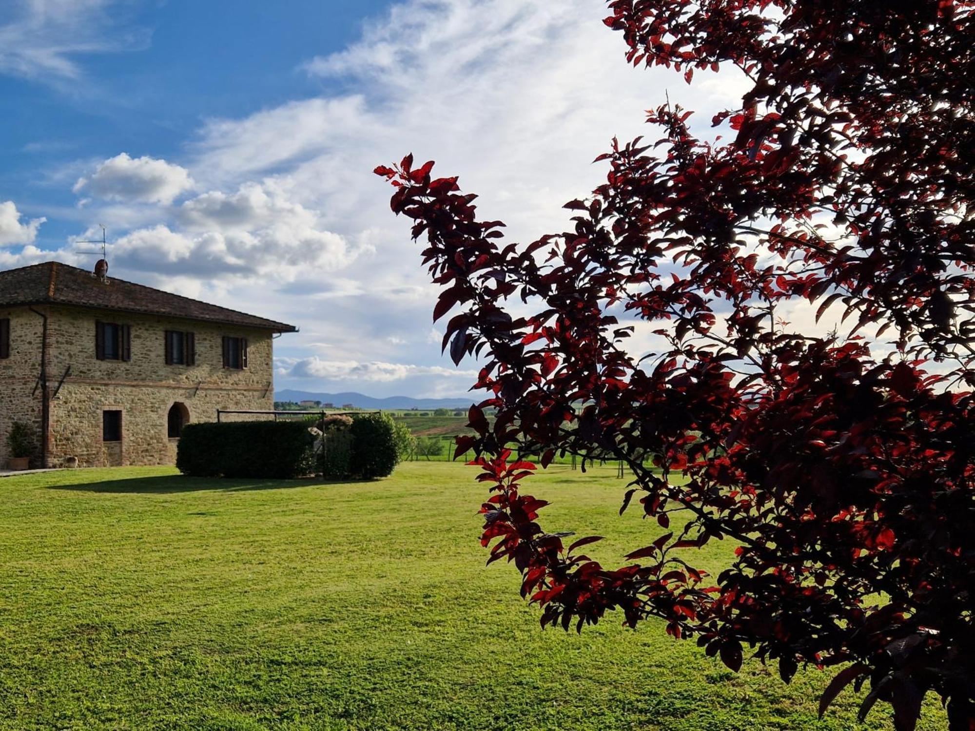 Podere Molinaccio ปานิกาเล ภายนอก รูปภาพ
