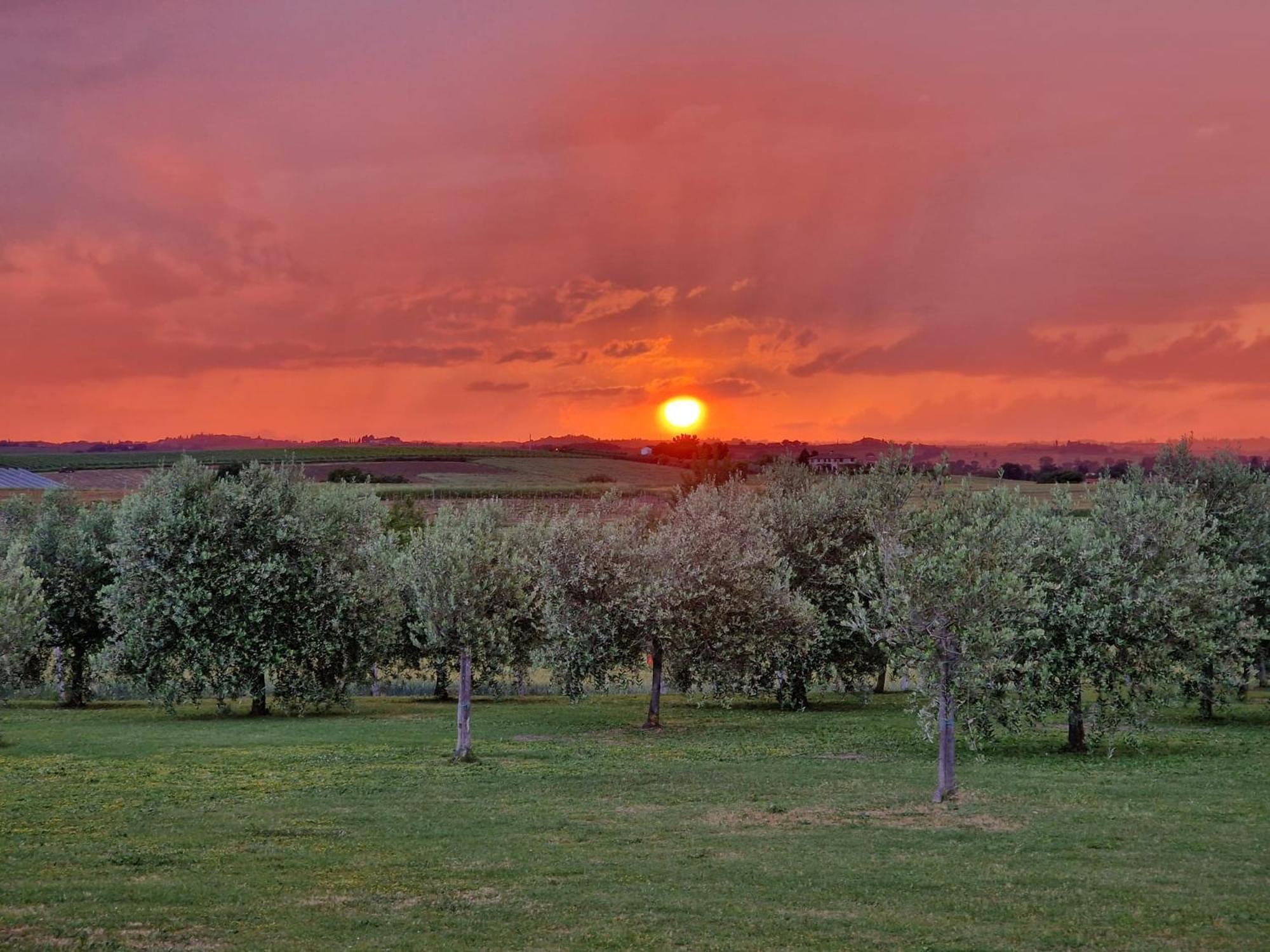 Podere Molinaccio ปานิกาเล ภายนอก รูปภาพ