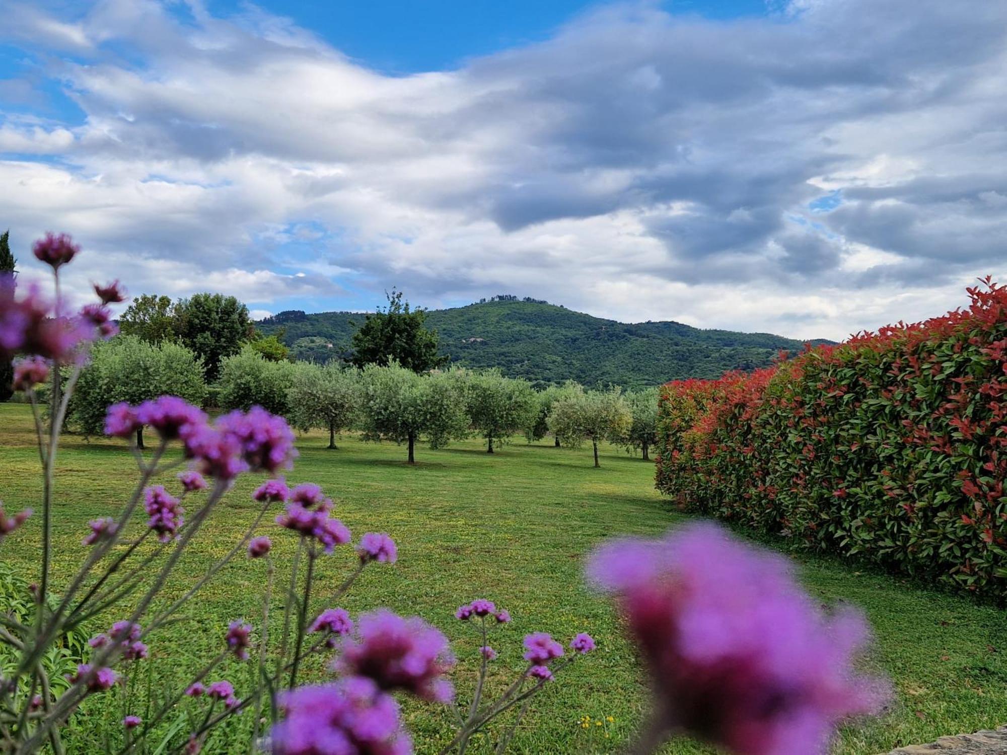 Podere Molinaccio ปานิกาเล ภายนอก รูปภาพ