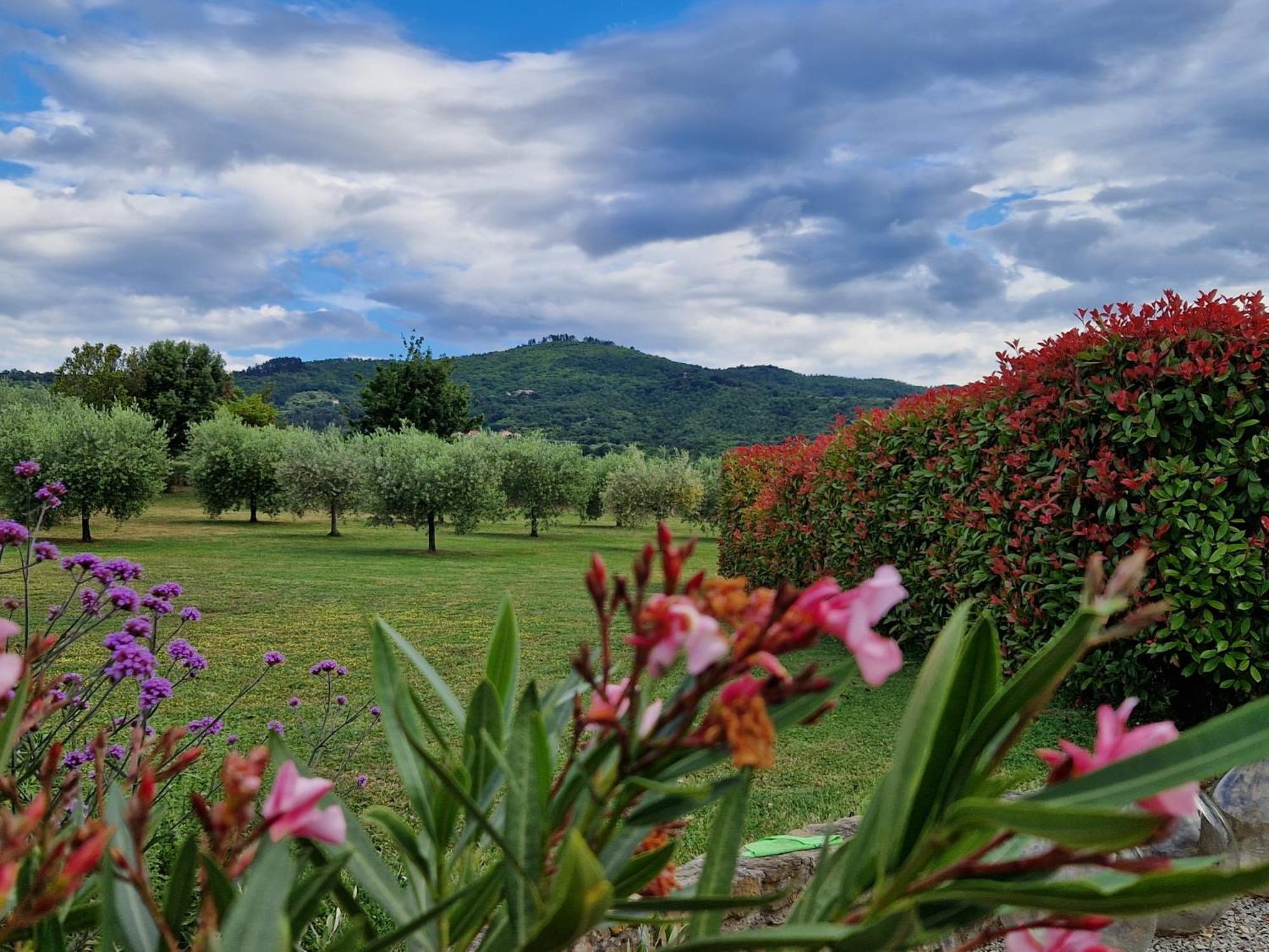 Podere Molinaccio ปานิกาเล ภายนอก รูปภาพ