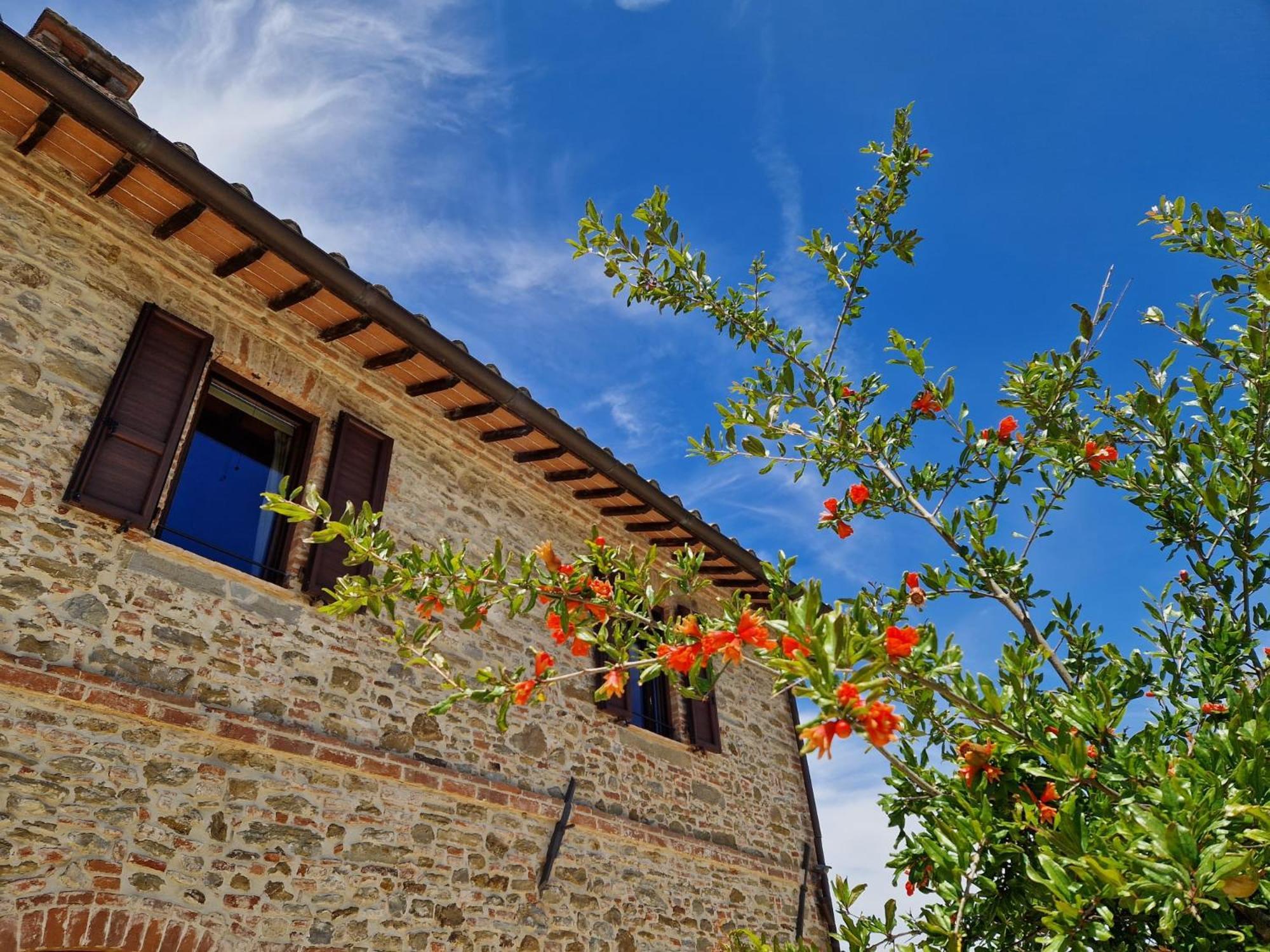 Podere Molinaccio ปานิกาเล ภายนอก รูปภาพ