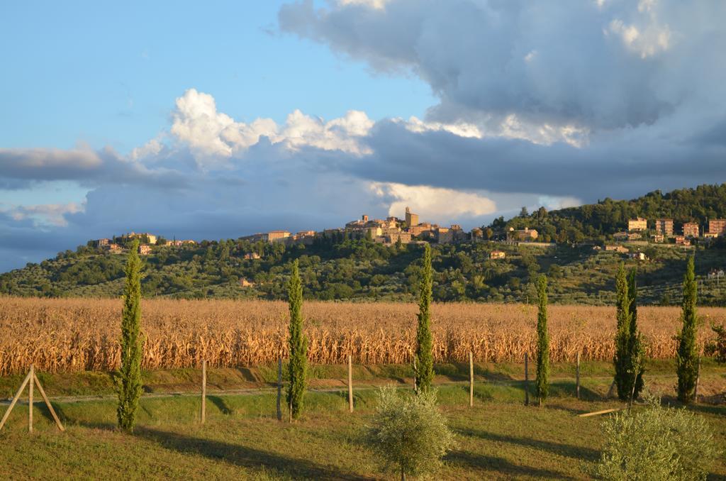 Podere Molinaccio ปานิกาเล ห้อง รูปภาพ